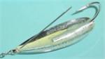 Johnson Silver Minnow