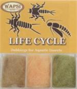 Life Cycle Dubbing