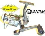 Quantum Spinning